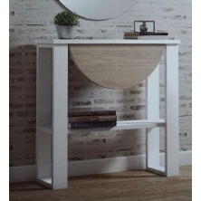 CONSOLA REF. 232