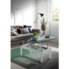 MESA CENTRO-COMEDOR /LISA 110CM MOD.2120 S-43