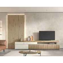 COMPOSICION SALON MAYEN 218