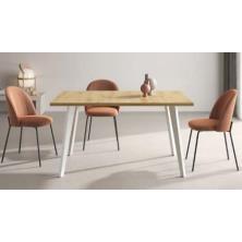 MESA P. INCLINADA RECTANGULAR FIJA 140 M812
