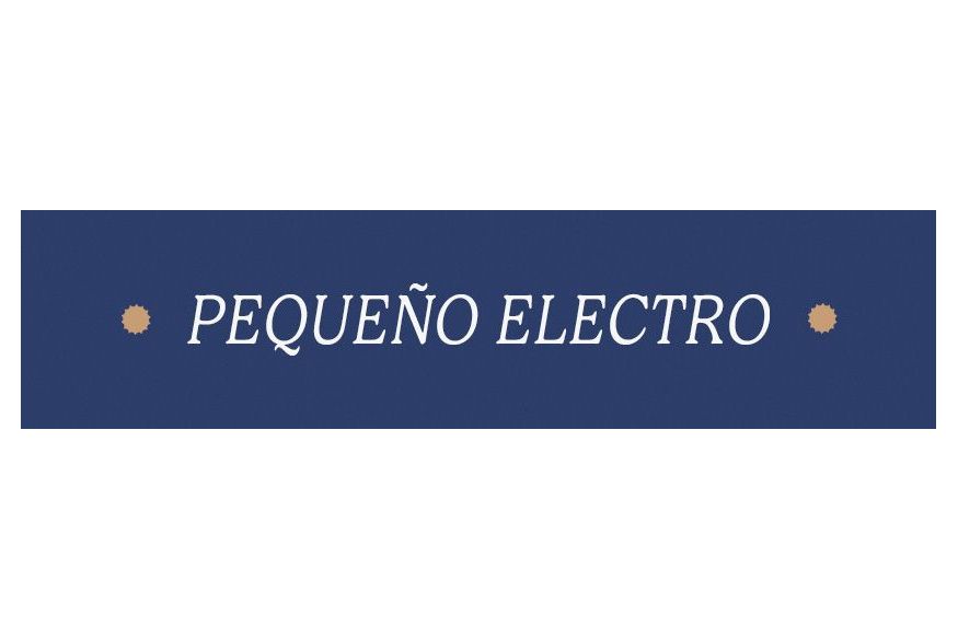 Pequeño electrodoméstico